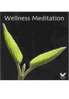 Wellness Meditation - CD