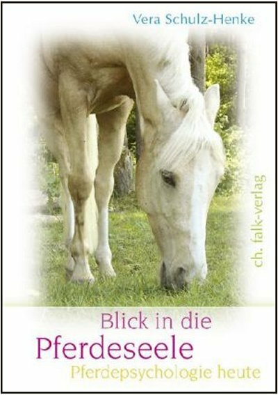 Blick in die Pferdeseele