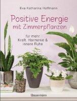 Positive Energie mit Zimmerpflanzen