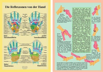 Die Reflexzonen An Der Hand / Karte / 21 X 30 / Zelloph.