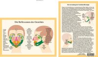 Die Reflexzonen Des Gesichtes / 17,5 X 24 / Papier