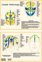 Craniale Reflexologie Papier 21x30 cm