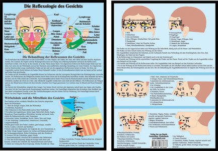 Die Reflexologie des Gesichts
